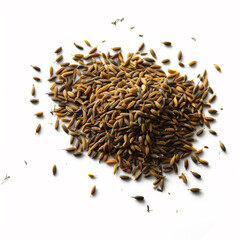 cumin spice fresh image isolate photo on white background