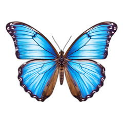 Blue Morpho butterfly, generative AI