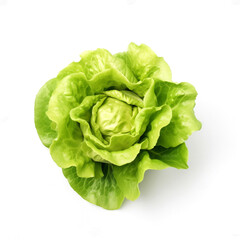 lettuce fresh salad food vegetable cabbage green isolated raw image on white background
