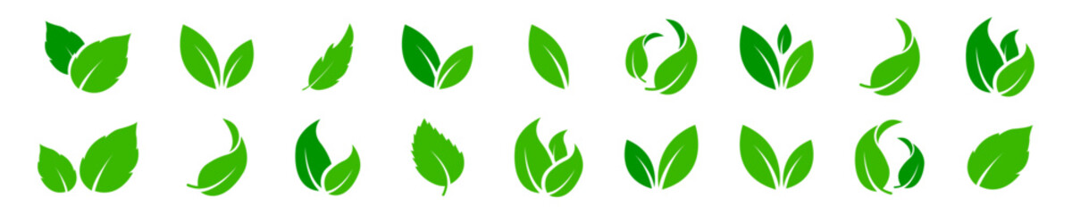 Set of green leaf icons. Green leaf ecology nature element. Collection green leaf. Vector illustration.