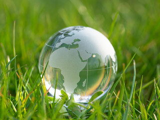  glass earth globe in grass