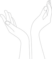 Hand model PNG 2023051940