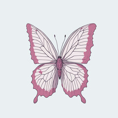 pink butterfly . vector