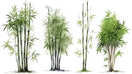 set of watercolor bamboo tree, generative ai - obrazy, fototapety, plakaty