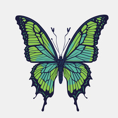 green butterfly. vector
