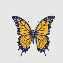 butterfly isolated on white . vector