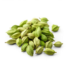 green cardamom spice seed isolated image on white background