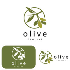 Olive Logo, Olive Oil Plant Vector, Natural Herbal Health Medicine Design, Illustration Template Icon