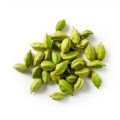 green cardamom spice seed isolated image on white background - obrazy, fototapety, plakaty