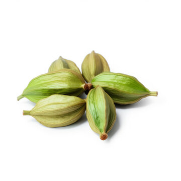 green cardamom spice seed isolated image on white background