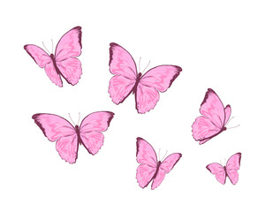 set of butterflies