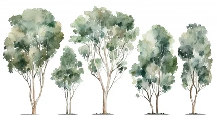 Foto op Plexiglas set of watercolor eucalyptus tree, generative ai © hamzahalderad