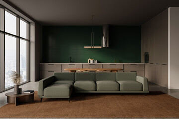 Gray living room and kitchen interior