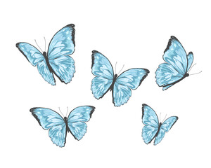 set of butterflies