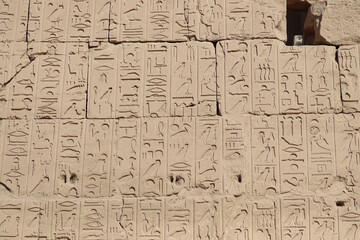 Fototapeta na wymiar ancient egyptian hieroglyphics carved at Karnak temple in Luxor, Egypt 