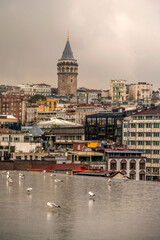 Galata Tower view from Istanbul Modern Museum