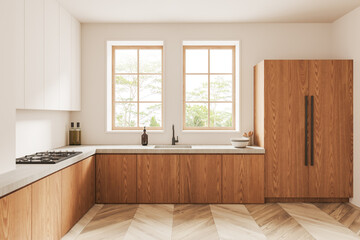 Modern white kitchen interior with white and wooden cabinets
