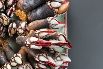 Barnacles, goose neck barnacle, percebes, gallician barnacles. Pollicipes pollicipes. Expensive delicatessen, gourmet sea food on black background, border design, top view