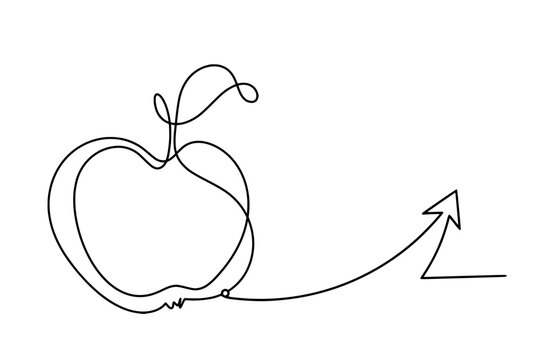 Drawing line apple with arrow on the white background