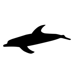 Dolphin Silhouette 