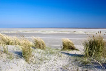 Deurstickers Noordzee, Nederland the dunes, Renesse, Zeeland, the Netherlands