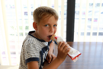 Boy eating hot dog in cafe