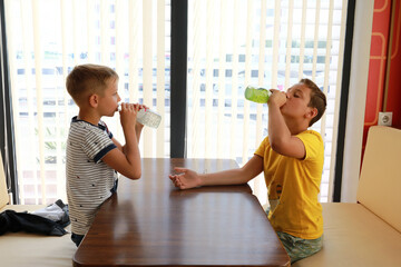 Brothers drinking lemonade from bottles
