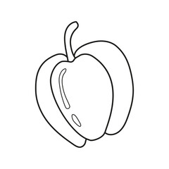 Vector illustration of bell pepper in doodle style