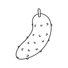 Vector illustration of cucumber in doodle style.