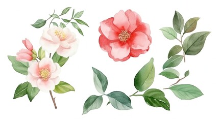 set of watercolor winter camellias, generative ai - obrazy, fototapety, plakaty