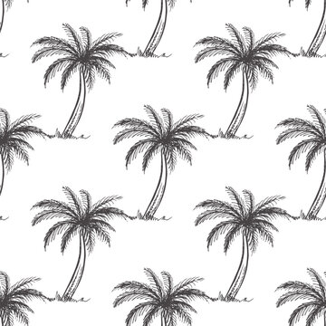 Hand drawn sketch seamless pattern  of palm tree.