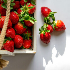 Red berry in a container on a sunny day on a white table View from above. Space for text.