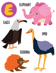 English alphabet with cute animals vector illustrations set. Funny cartoon animals: elephant, emu, echidna, eagle. Alphabet design in a colorful style.