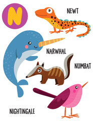 English alphabet with cute animals vector illustrations set. Funny cartoon animals: newt, narwhal, numbat, nightingale. Alphabet design in a colorful style.