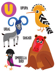 English alphabet with cute animals vector illustrations set. Funny cartoon animals: upupa,urial,uakari,umbrella bird. Alphabet design in a colorful style.