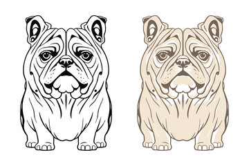Bulldog Silhouette Illustration Art design