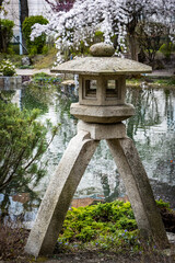 sakura, cherry blossom, japanese garden in Vienna, Setagaya park, setagaya, Austria, bridge, pagoda