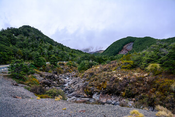 Rocky riverbed with evergreen trees on the banks. Ohukune Mountain Road, North Island, New Zealand
