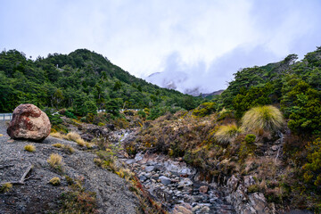 Majestic snow-patched Mount Ruapehu rising behind rocky riverbed with evergreen trees on the banks. Ohukune Mountain Road, North Island, New Zealand