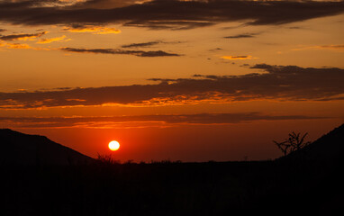 Sun rising with red glow in Madikwe