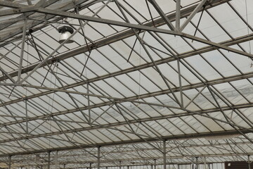 Fototapeta premium Indoor garden center roof with metal beams and slightly transparent glass windows.