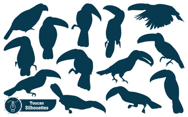 Animal Bird Toucan Silhouettes vector illustration