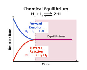 Vector scientific graph or chart of chemical equilibrium – forward reaction and reverse or backward reaction isolated on white. The rate of the forward reaction is equal to the reverse reaction.