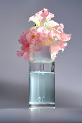 Serum with a dropper with spring flowers.