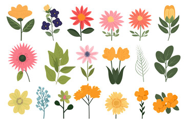 set of different decorative flowers vector illustration