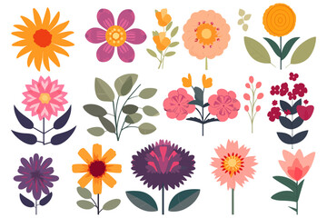 set of different decorative flowers vector illustration