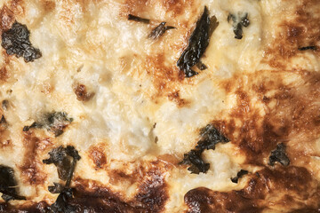 Hake Cake. Baked dish with cream, cheese, egg and hake