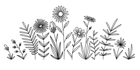 Set of grass and flowers line art vector illustration