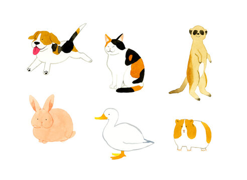 かわいい・ゆるい動物の手描き水彩イラスト素材集（ビーグル犬、三毛猫、うさぎ、アヒル、モルモット、ミーアキャット）