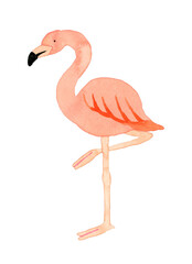 フラミンゴ　かわいい・ゆるい動物の手描き水彩イラスト素材